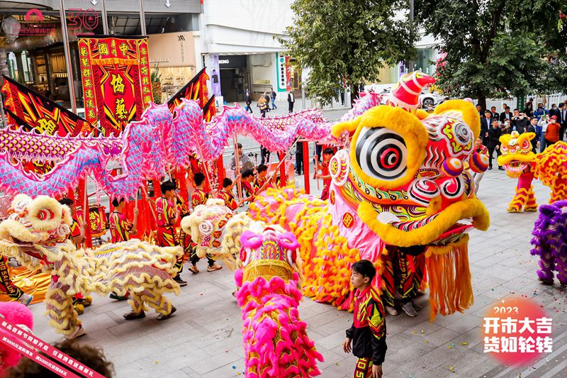 ���ݿ�ҵ������ʨ����